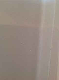 paint to hide wall imperfections