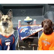 Doug Loomis's photo