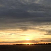 Stephanie Wallenstein's photo