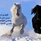 Hossam Hamid's photo