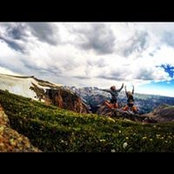 Allie's photo