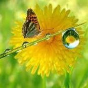 Sue Clarkin's photo