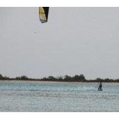 Mauricio Pisani's photo