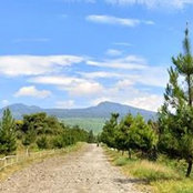 Nifti Ventin's photo