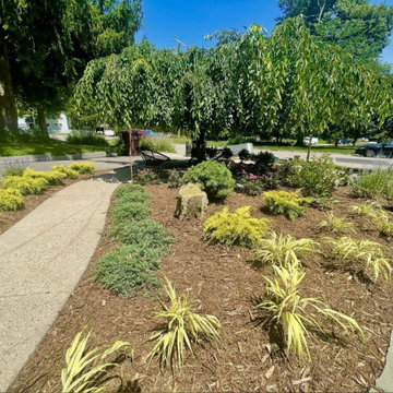 Curving walkway edged with golden juniper and variegated Japanese forest grass