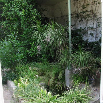 Jardin à la Française