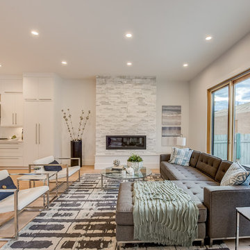 Transitional Living Room
