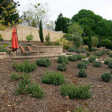 Landscape Designs