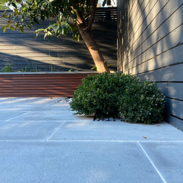 Windsor Terrace backyard