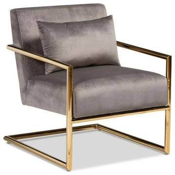 Contemporary Accent Chair, Golden Cantilever Base and Soft Velvet Seat, Gray