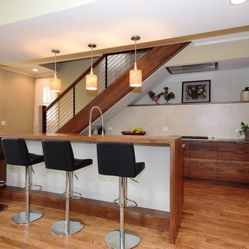Ravenswood 'Hog Butcher' Remodel