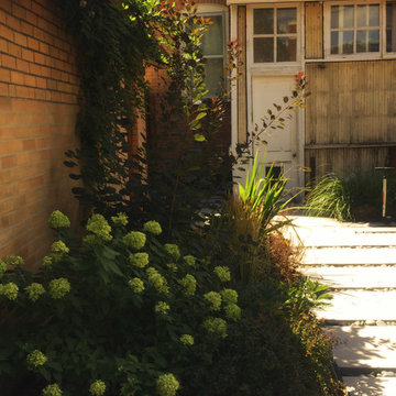 Urban Garden, North Denver