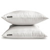 White Art Silk Plain, Solid Set of 2, 26"x26" Throw Pillow Cover - White Luxury