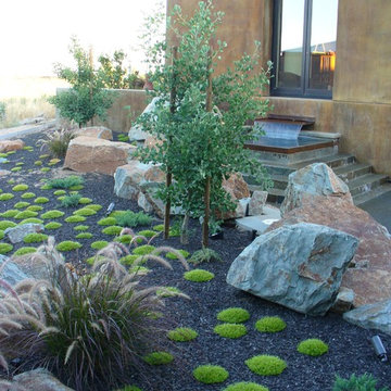 Stanislaus River Contemporary Landscape