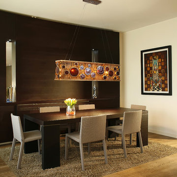 Varaluz Fascination 4-Light Linear Pendant in Dining Room