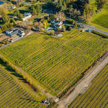 Vineyard Residence Northern California