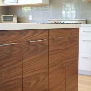 Piedmont Modern Kitchen