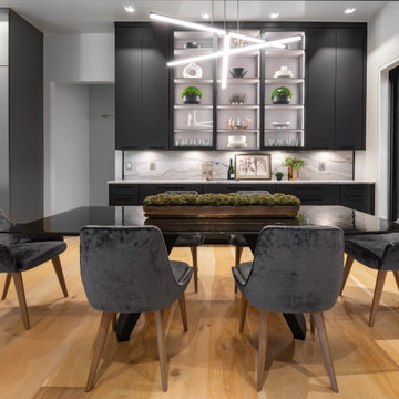 Modern Kitchen Design and Build New Construction