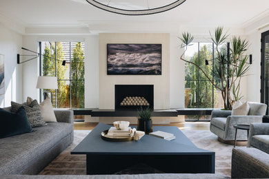Transitional light wood floor and beige floor family room photo in Chicago with white walls, a standard fireplace and a wall-mounted tv