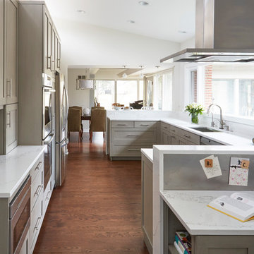 Modernized Mid-Century Renovation