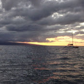 Greg DiBella's photo