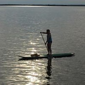 Patti Eney's photo