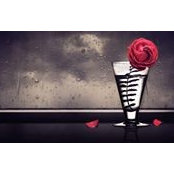 Nicole Roberts's photo