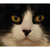 Christina Hamilton's photo