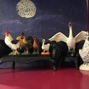 Susan Arnold's photo