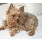Diane Laurin's photo