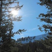 Sheila Sebald's photo