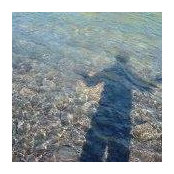 Jo Wightman's photo