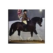 Taran Hanover's photo