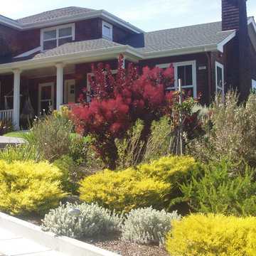Tiburon Landscape Install