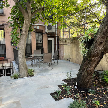 Modern Urban Shade Garden