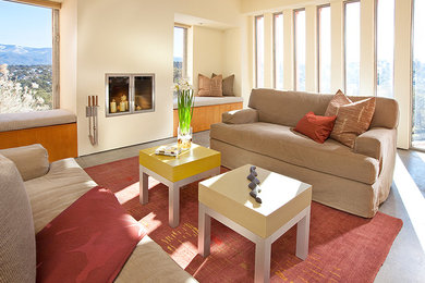 Living room - contemporary living room idea in Albuquerque