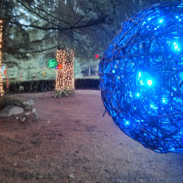 Holiday Light in Woodinville