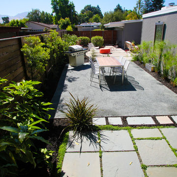 Low Maintenance Gardens