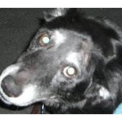 Barbara Pietz's photo