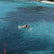 George Niculae's photo