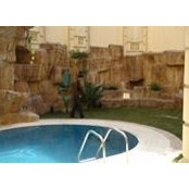 Haitham Hamdy's photo