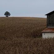 David Huntley's photo