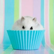 Katherine Darnell's photo