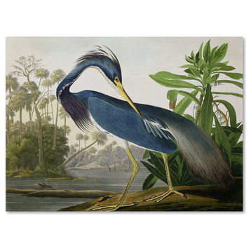 John James Audubon 'Louisiana Heron' Canvas Art, 18x24