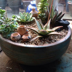 Succulent arrangements - Products