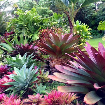 Big Island Botanical Retreat