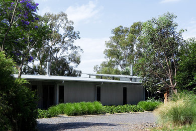 Design ideas for an australian native modern garden in Sydney.
