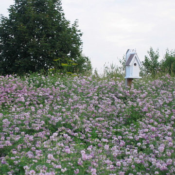 Scales Mound, IL