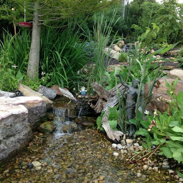 Backyard Oasis