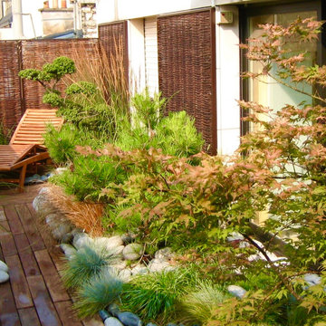 L'érable du japon aux couleurs du caillebotis en automne..
